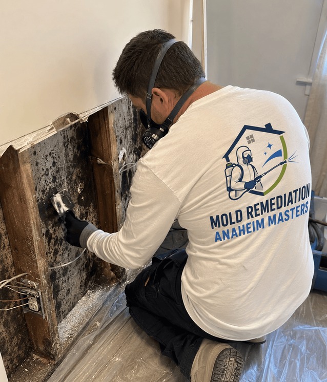 Technician in a respirator removing black mold from a wall cavity